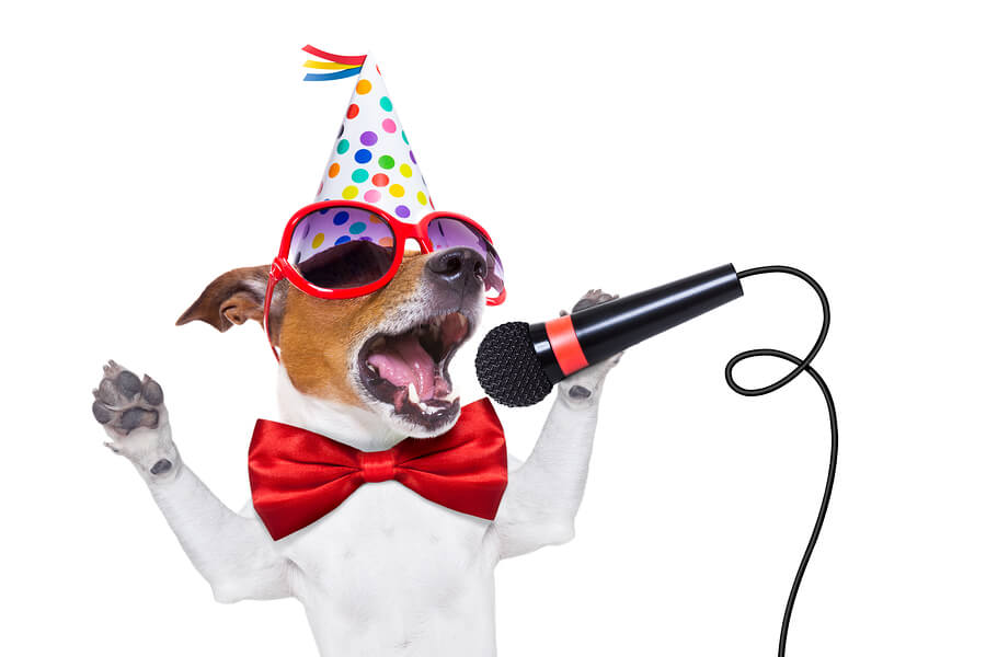 jack russell dog as a surprise singing birthday song like karaoke with microphone wearing red tie and party hat isolated on white background